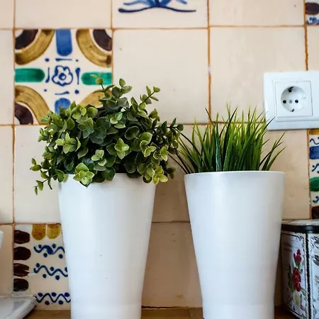 Copo Apartamento Serra Nevada