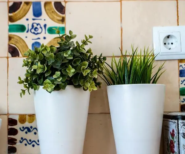 Copo 公寓 塞拉内华达